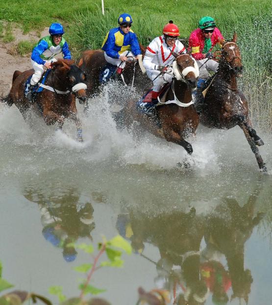 Trotz Regenguss niedriger Wasserstand am Teich – dafür originelle Spiegelung