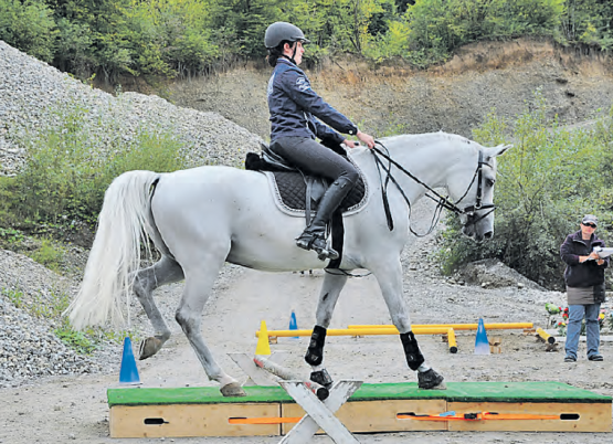 Beste Wynentalerin: Anita Hüsser, mit ihrem 14-jährigen Pequenno (zVg.)