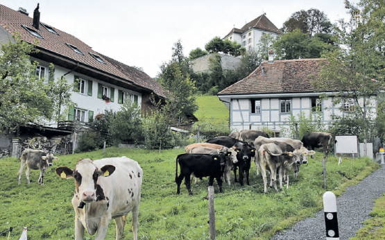 Schlossrued. Der Startanlass des Erzähltals wurde hier präsentiert. (Bild: st.)