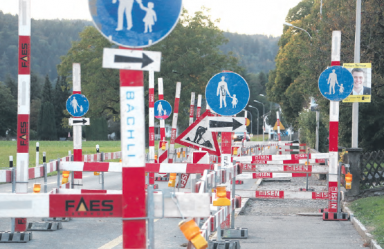 Schilderwald in Oberkulm (Bild: Remo Conoci)
