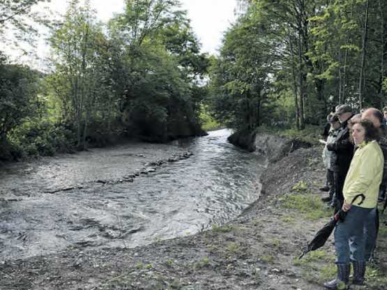 Der Aabach bei Hallwil