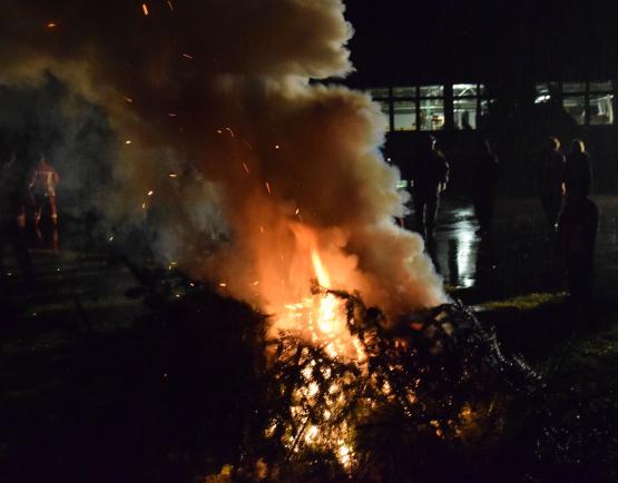 In "Schall und Rauch" sind die Christbäume Anfang Januar aufgegangen