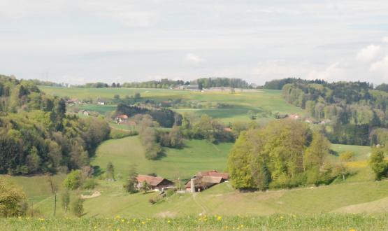 Der Blick ins Ruedertal vom Pfaffenberg her.