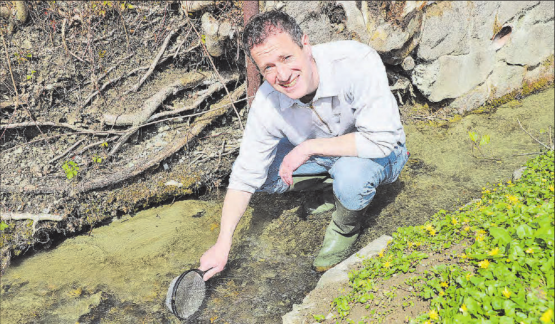 «Ein klares Zeichen, dass es diesem Bachlauf gut geht»: Matthias Betsche, Geschäftsführer der Pro Natura Aargau, findet mit einem Sieb Krebse. Mit der Gewässer-Initiative sollen weitere Feuchtgebiete und Lebensräume entstehen, die auch dem Menschen dienen. (Bild: rc.)