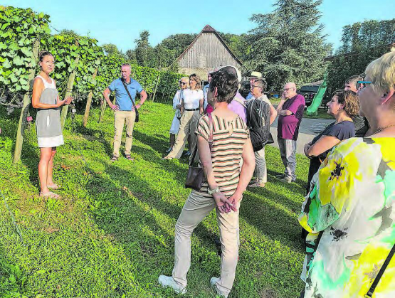 Gelungener Herbstausflug: Die Mitglieder der FDP Ortspartei Beinwil am See-Birrwil besuchten das Weingut Klosterhof in Aesch. (Bild: zVg.)