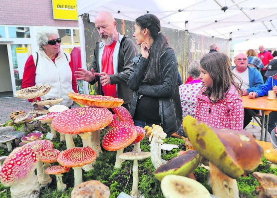 Interessierte Zuhörer hinter dem hübsch dekorierten Tisch: Pilzfachmann Harald Sigel vom Verein für Pilzkunde Wynental wusste viel Spannendes zu erzählen. (Bilder: rc.)