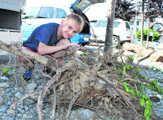 Insekten, Ameisen oder Eidechsen: Bald schon werden in Bahnhofsnähe unterschiedlichste Lebewesen zu beobachten sein. (Bild: grh)