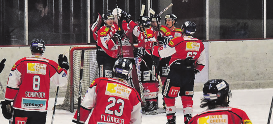 Die Red Lions Reinach spielen auch nächste Saison in der 1. Liga: Der «Hitchcock» um den Ligaerhalt spielte sich allerdings für einmal neben dem Eis ab. (Archivbild: mars.)