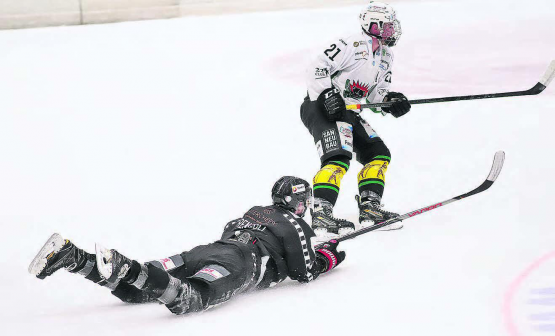 Bruchlandung, trotz guter Saison: Für die Red Lions gibts auch dieses Jahr kein Happy-End. (Bild: rc.)