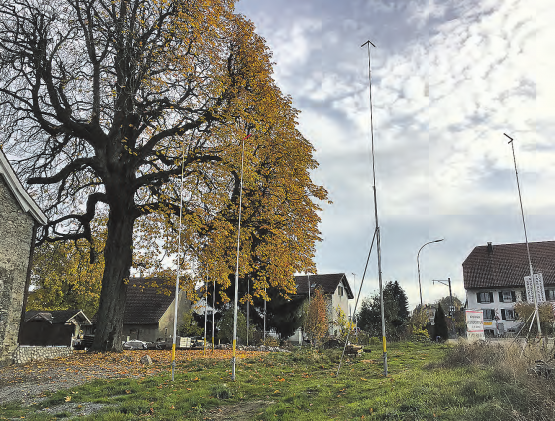 Aus für ein Wahrzeichen? Wenn dieses Bauvorhaben realisiert wird, stirbt ein Wahrzeichen von Hallwil