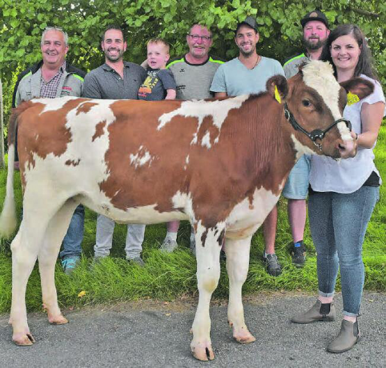 Das Red-Holstein-Rind «Ronja» wartet gespannt auf seinen neuen Besitzer, den Tagessieger des 56. Homberg-Schwingets: hinten von links Gabenchef Manfred Furrer, Spender Daniel Meyer mit Sohn Levin, André Bergmann (Schwingklubpräsident), Spender Patrick Meyer, OK-Präsident Patrick Bucher und Selina Reubi vom Bampfhof Dürrenäsch. (Bild: wr)