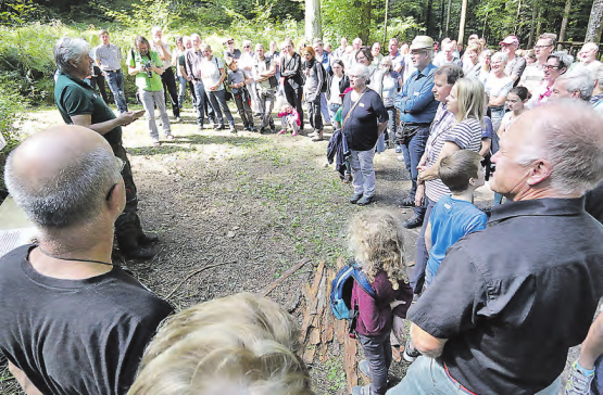 Urs Gsell vom Forstbetrieb Muhen-Hirschthal-Holziken: Den Neuzuzügern und später den Ehrengästen erzählte er viel Spannendes aus dem Wald.