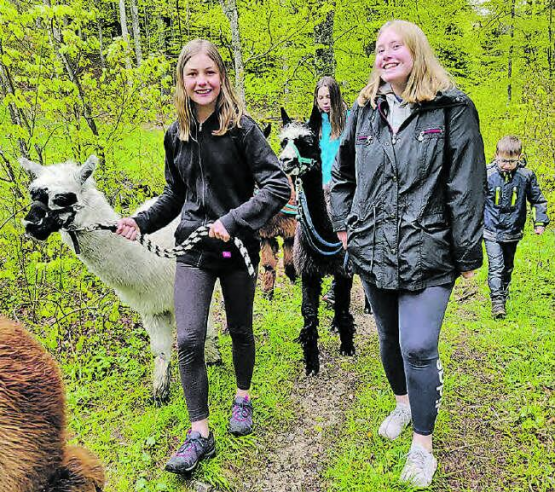 Kirche kann auch abenteuerlich sein: Alpakatrekking und Seilparkbesuch im Rahmen des Religionsunterrichts der ref. Kirche Gontenschwil-Zetzwil. (Bilder: zVg.)
