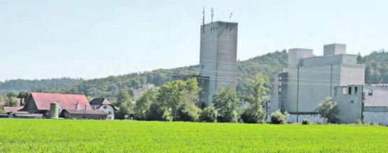 Mühleareal/Hegmatte: Im März soll darüber abgestimmt werden. (Bild: rc)