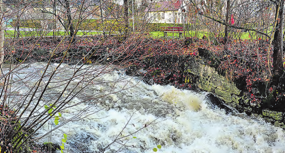 Die Wyna bei der Badi in Menziken am Dienstagnachmittag, 15 Uhr: Endlich ist aus dem Rinnsal der letzten Monate wieder ein Bach geworden, der diesen Namen auch verdient. (Bild: msu.)
