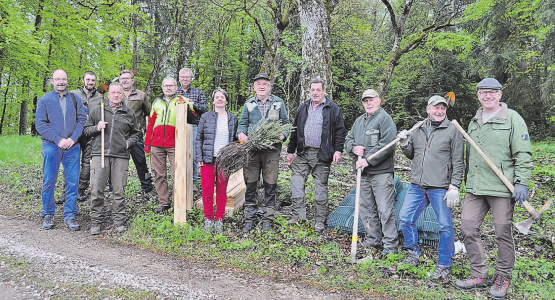 Mitarbeit an kantonalem Projekt: Mitglieder des Vereins Sandsteinmuseum Staffelbach und der Jagdgesellschaft Staffelbach pflanzen im Rahmen des kantonalen Projekts 100 Eiben rund um den Steinbruch Böhl. (Bilder: Alexandra Berk)