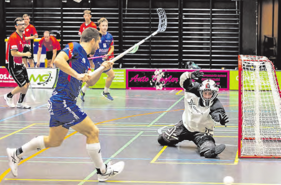 Die Unihockeyspieler von Lok Reinach sind seit 5 Spielen ungeschlagen. (Bild: zVg.)