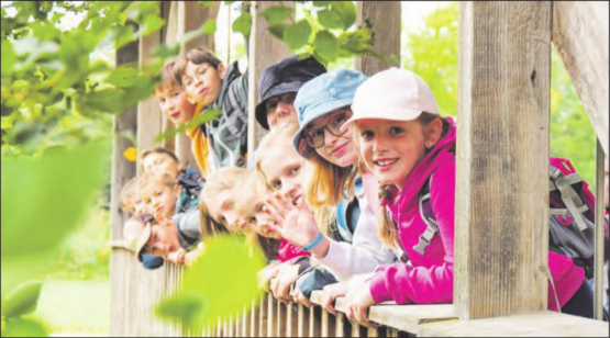 Die Privatschule salta in Gränichen lädt am 27. November zum Tag der offenen Tür ein. (Bild: zVg.)