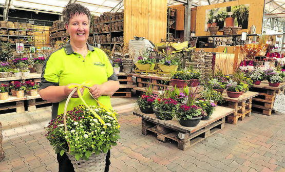 Hier im «Schale-Egge» ist es Jeannette Hunziker am wohlsten, also da, wo Blumen in unterschiedlichste Schalen und Behältnisse eingetopft werden. (Bild: rc.)