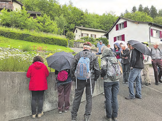 Halt an einer Magerwiese: Der Rundgang durch Unterkulm führte an interessanten Stellen vorbei. (Bilder: zVg.)