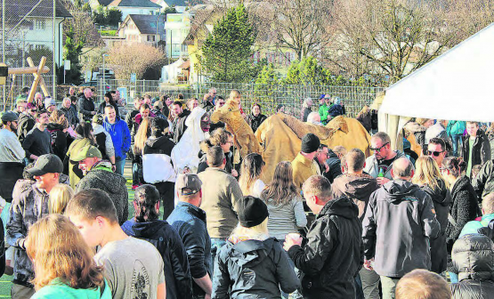 Lebendige Tradition: Hunderte Gäste freuten sich die stürmische Umarmung der Bärzeli in Hallwil. (Bilder:grh)
