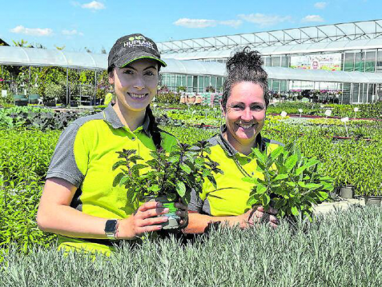 Die Mitarbeitenden von Huplant beraten kompetent, was wo geeignet ist. (Bilder: zVg.)