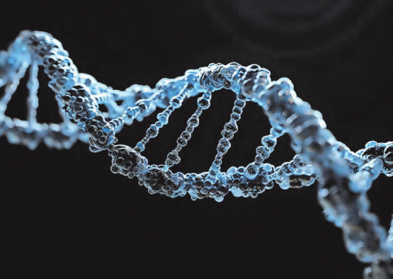 Künftig steht auch das menschliche Genom zur Manipulation an. Dabei sind bis heute ethische und moralische Fragen über die Grenzen von Nutzen und Risiken beim designten Leben aus Menschenhand ungeklärt. (Bild: pixabay)