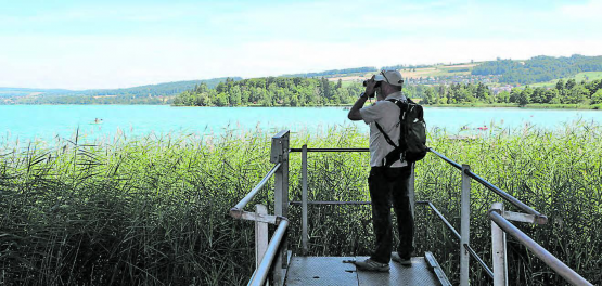Mit dem Feldstecher behält der Ranger den Überblick auch in der Ferne.