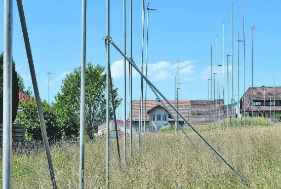 Stangenwald im Reinacher Sonnenberg: Die IG Vision Reinach ist nicht grundsätzlich gegen die ungebremste Bautätigkeit in der Region, vielmehr setzt sie sich für eine nachhaltigere Bauweise ein. (Bild: Dieter Obrist)