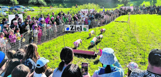 Das Säulirennen war das Highlight des Liebegger Tags. (Bilder: sah.)