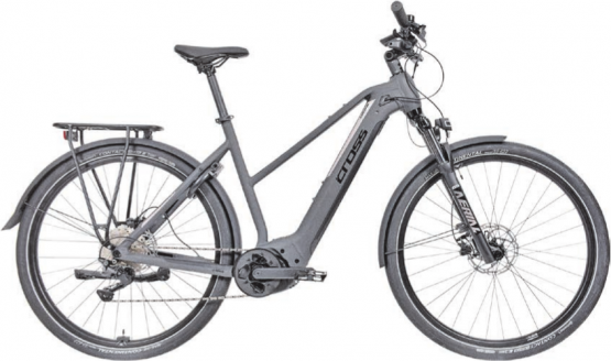 Cross E-Motive Pro 28 D mit kraftvollem Bosch-Performance-Line-CX-Motor und 750-Wh-Akku.