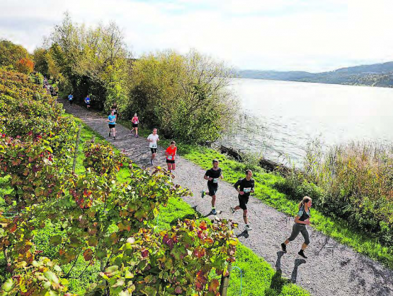 Zur 50. Austragung des Hallwilerseelaufs werden rund 10’000 Laufbegeisterte erwartet. (Bild: zVg.)