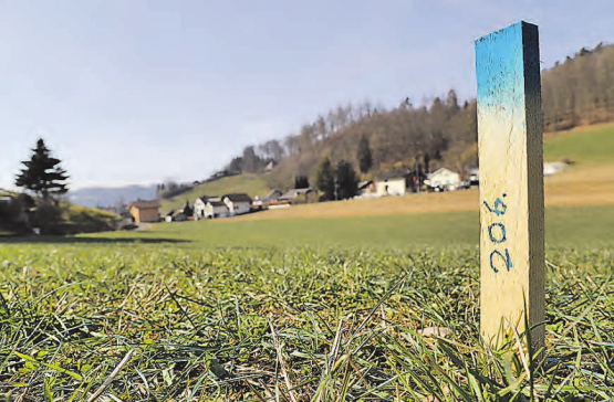 Die unterschiedlichen Farben der Bauprofile bezeichnen die Platzansprüche: Blaue Pfosten zeigen den Verlauf des Bachs an. Im Hintergrund das Gebiet Ostweg/ Eichenweg. (Bilder: Remo Conoci)