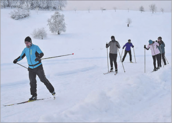 Reger Betrieb auf der präparierten Loipe im Leutwiler Moos. (Bild: Wolfgang Rytz)