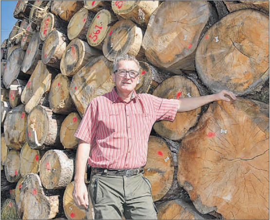 Die Bäume und die Natur sind durch Trockenheit geschwächt: Gemeindeförster Urs Wunderlin vor dem (leider) imposanten Holzlager in der Hinterfeldgrube. (Bild: P.Te.)