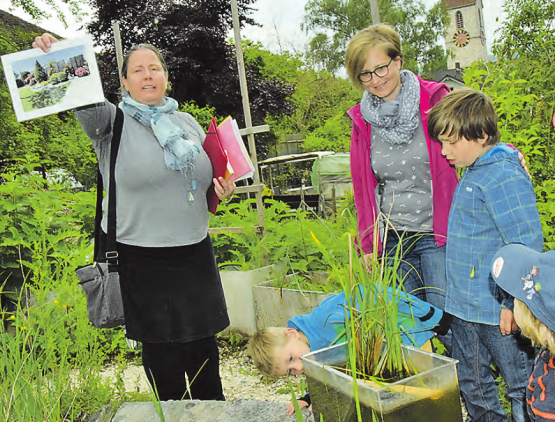 Am Weiher gab es ebenfalls viel zu entdecken: Mio Cattaneo zeigt dazu das Bild eines «perfekten» Gartens, der jedoch kaum Lebewesen bewirten dürfte.