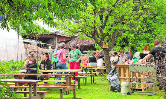 Unter den schattigen Bäumen konnten die feinen hofeigenen Bratwürste und veganen Empanadas genossen werden.