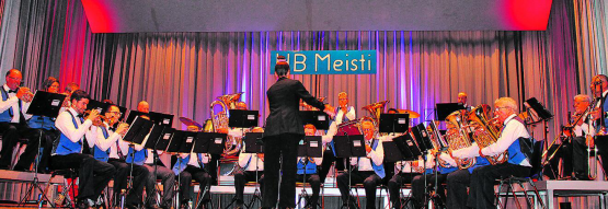 Für klangvolle Auftritte braucht es Nachwuchs. Die MG Meisterschwanden ist aktiv auf der Suche und freut sich über jeden neuen Kontakt. (Bild: Archiv)