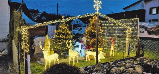 (Bilder: Graziella Jämsä, Melanie Köchli, Janine Flückiger, Iris Schaffner und Roland Marti)