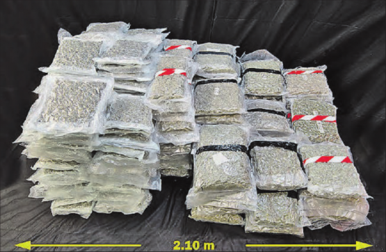 116 Kilogramm Marihuana: Versteckt hinter einer doppeltenWand des Anhängers eines Reisecars. (Bild: pz.)