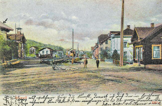 Die Vergangenheit im Bild: Der Bahnhof in Beinwil am See auf einer Postkarte von 1906. (Bild: ETH-Bibliothek Zürich, Bildarchiv/Fotograf: Unbekannt)