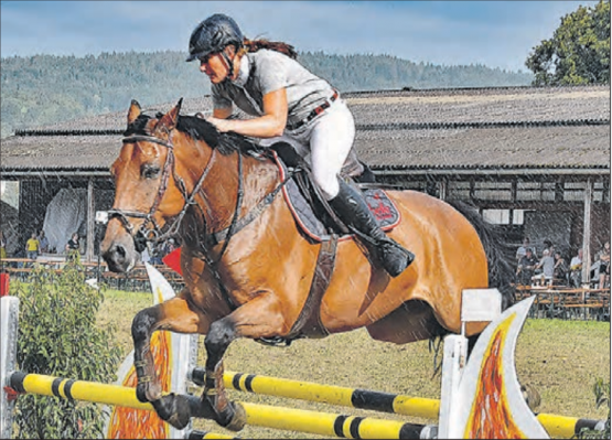 Trotz Regenschauer fehlerfrei im Stechen: Melissa Pichierri vom RV Hallwil auf Lazy Luiz auf dem Weg zu Rang 4. (Bilder: aw.)
