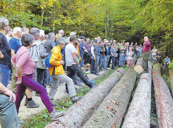 Informationen aus erster Hand: Förster Peter Gautschi erklärt, warum ihm die tiefen Holzpreise Sorge bereiten. (Bilder: moha.)