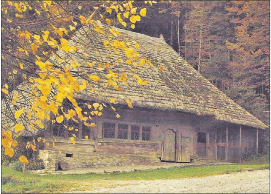 Das 1783 erbaute Haus ist ein bäuerliches Wohn- und Arbeitsmuseum. Das urtümliche Strohdachhaus im Seeberg ob Leimbach noch mit altem Strohdach.