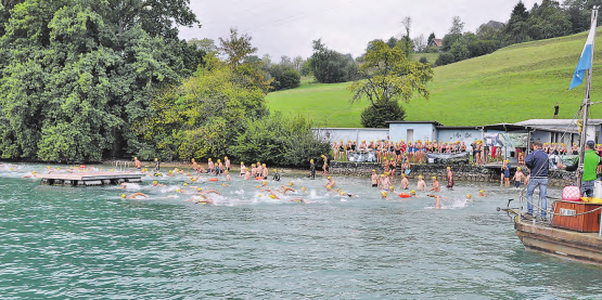 Die 50. Austragung des Hallwilerseeschwimmens: Bei 13 Grad Lufttemperatur und einem 22 Grad warmen See gingen in der Badi Birrwil 228 Schwimmer an den Start. (Bilder: pb.)
