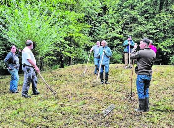 Arbeitseinsatz des NVV Oberkulm: Mit vereinten Kräften wurde das gemähte Gras am Maurtalweiher und Semmlenweiher zusammengetragen. (Bild: zVg)