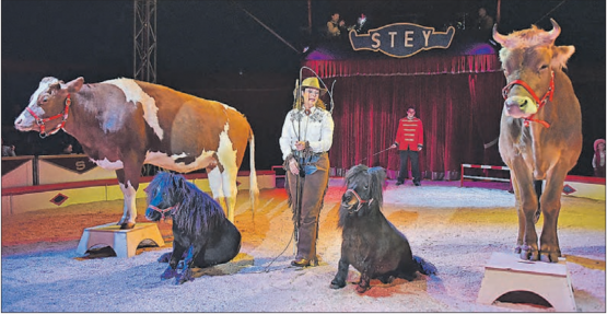 Der Zirkus Stey lädt ein zu einer einzigartigen Show: mit dabei Mia und Simone Stey mit ihren Haustieren. (Bild: zVg.)