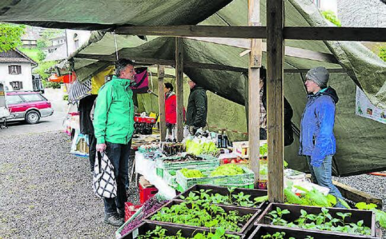 Impression aus vergangenen Zeiten: Am Birrwiler Märt gibt es frisches Gemüse, Setzlinge und freundliche Begegnungen. (Bild: zVg.)