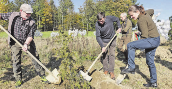 Ein Wacholder für Estland. Gepflanzt von Robert Suter, Korporationsförster; Ulrich Suter, Europawäldli-Initiant; Helen Ree, Kulturschaffende aus Estland. (Bilder: zVg.)