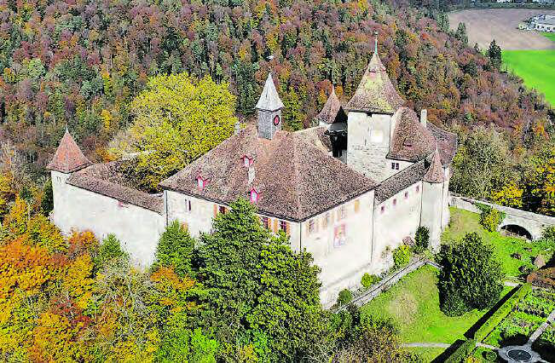Die Wanderung führt zum schönen Schloss Kyburg. (Bild: Beat Ruest, wikimedia)